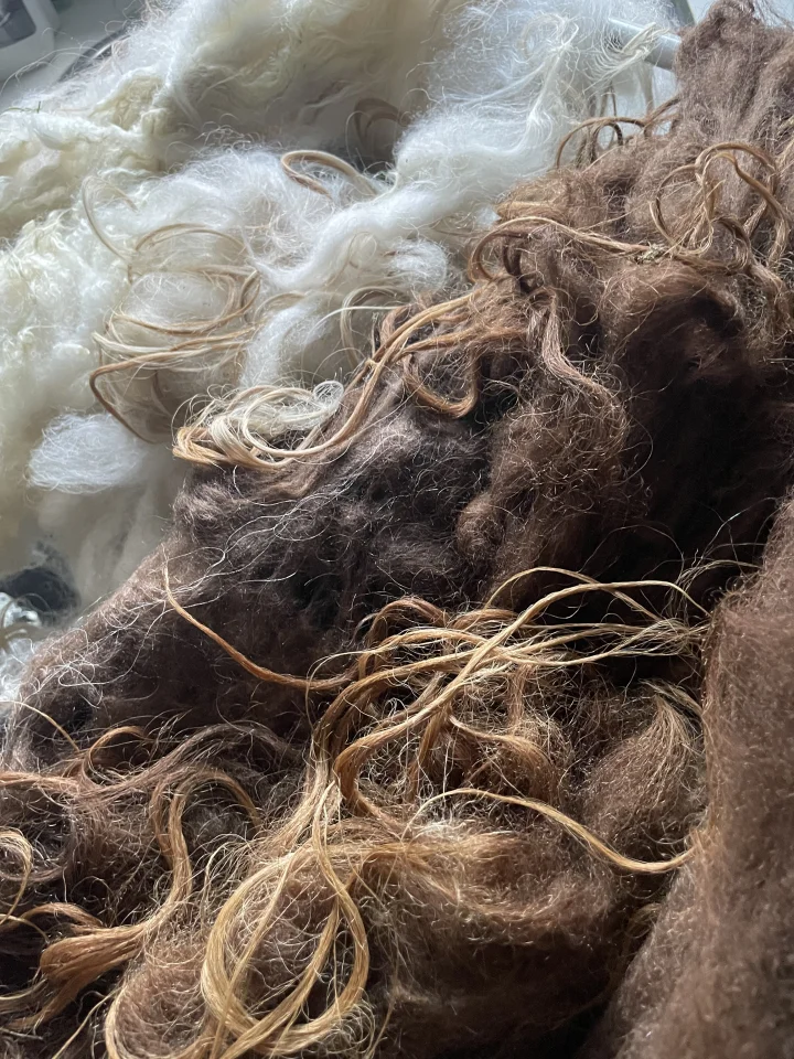 SIRRI wool- workshop 