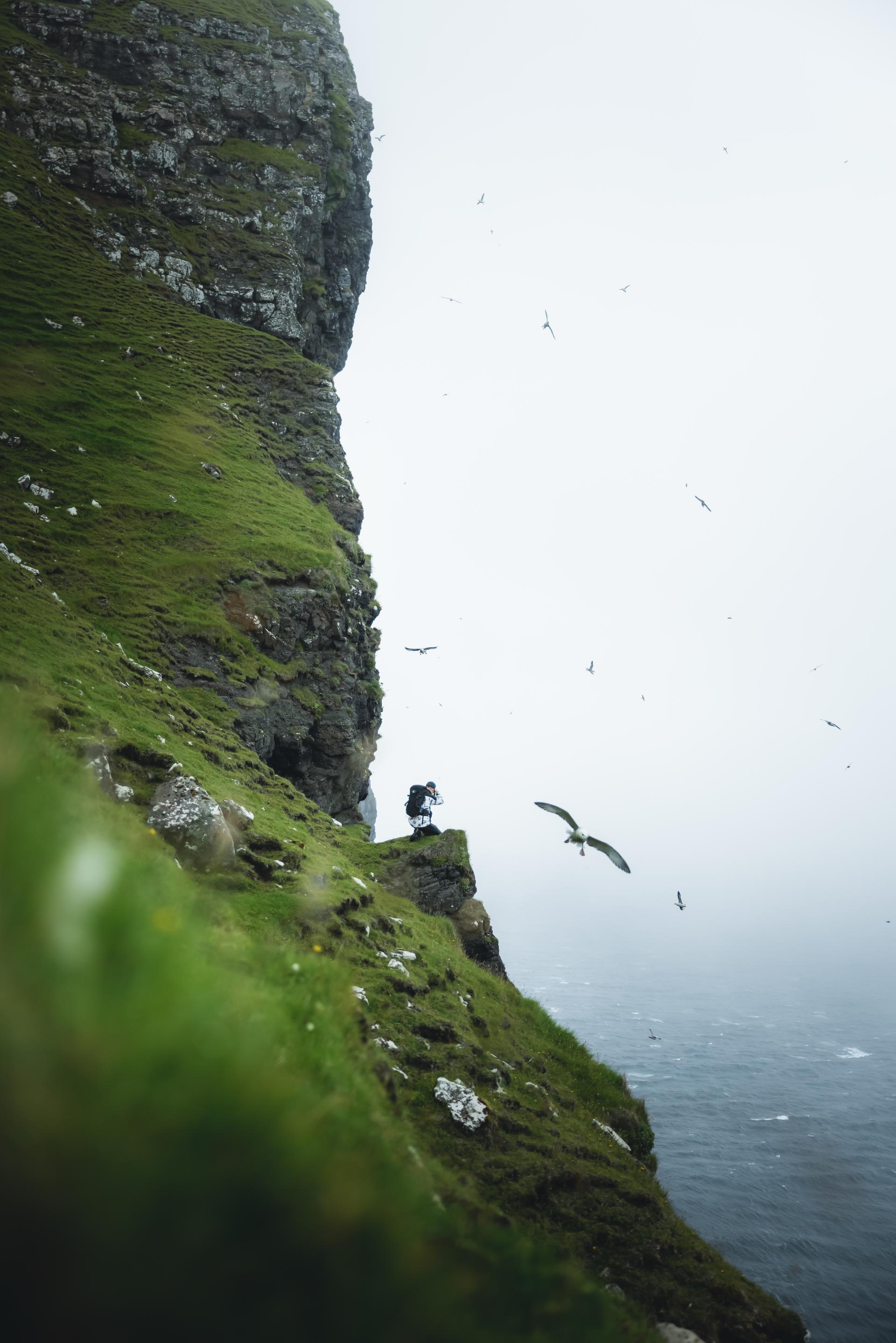 Thumbnail of - Bird watching, over the green cliffs of the Faroe Islands. Tourists capturing images. 