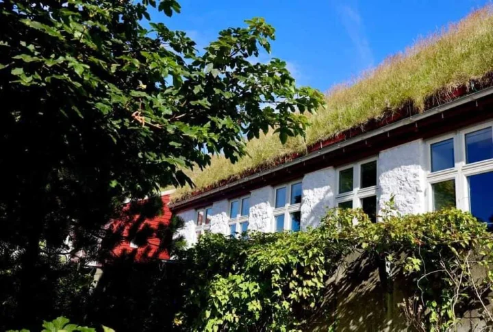 The Old School (gamli skúli)