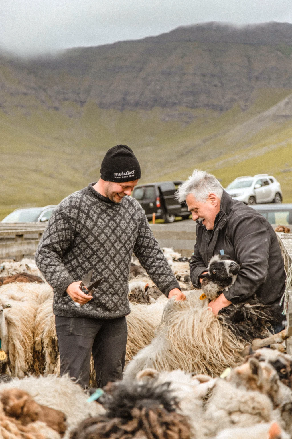 wool 