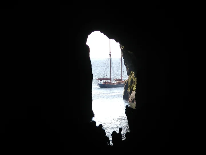 Thumbnail of - 