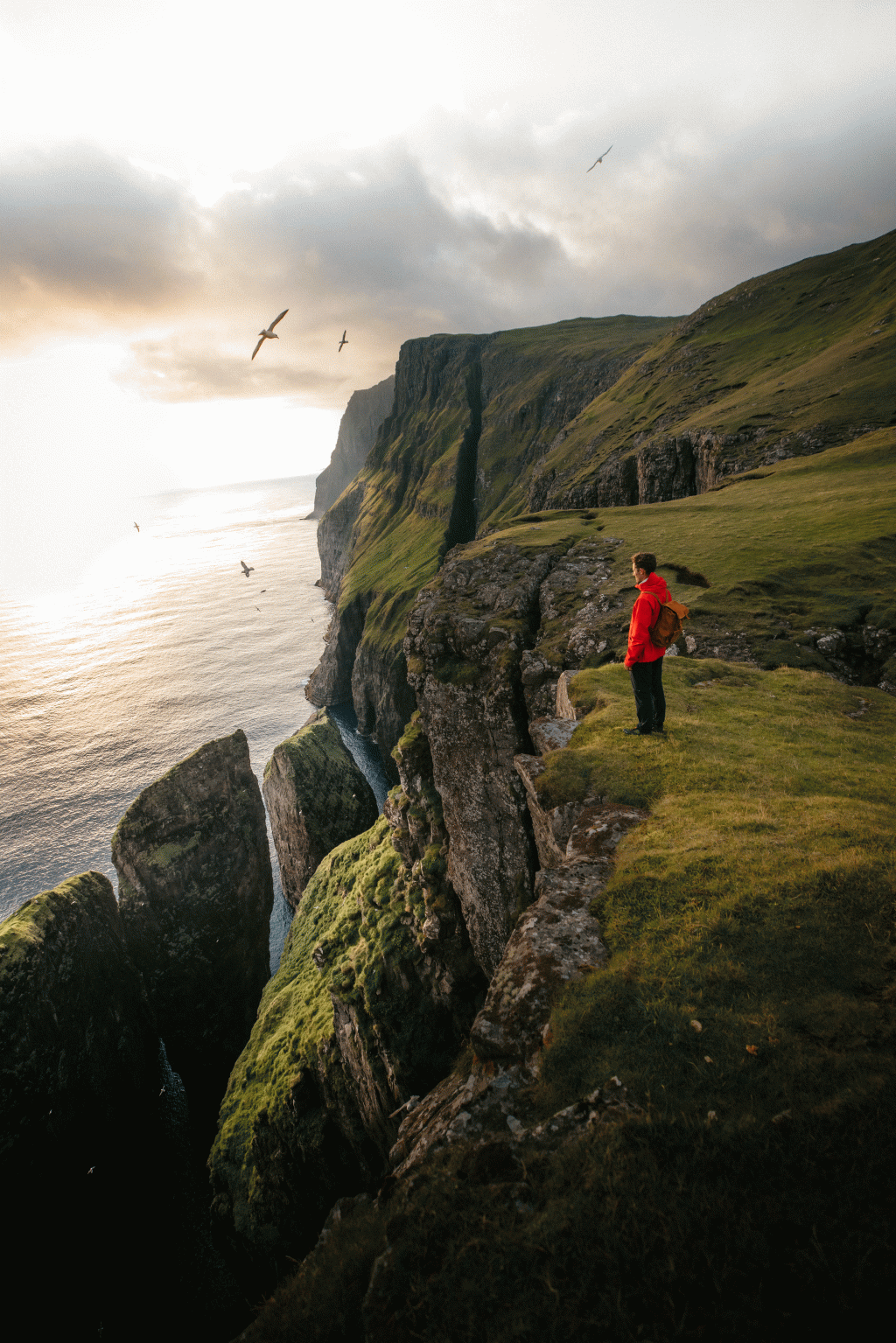 Man in red jacket wearing backpack watching birds and a sunset in the Faroe Islands