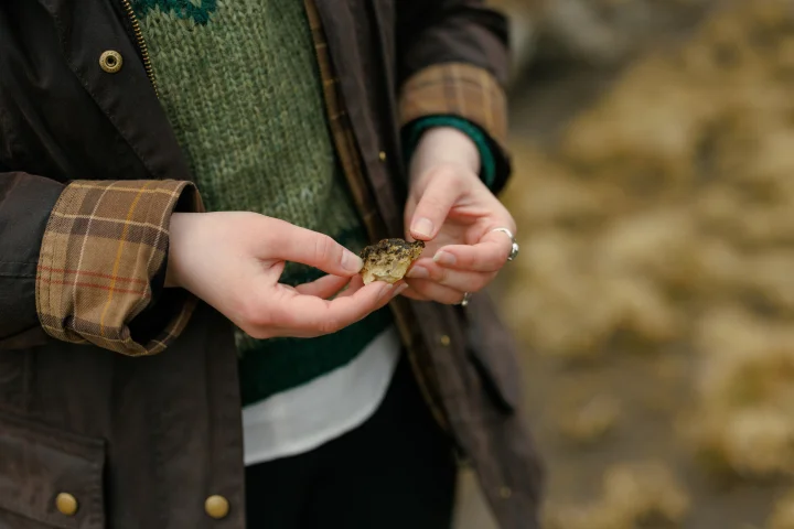 Thumbnail of - 