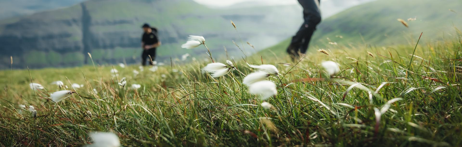 Thumbnail of - Hiking in the Faroe Islands, nature and beautiful landscapes. image by Thrainn Kolbeinsson