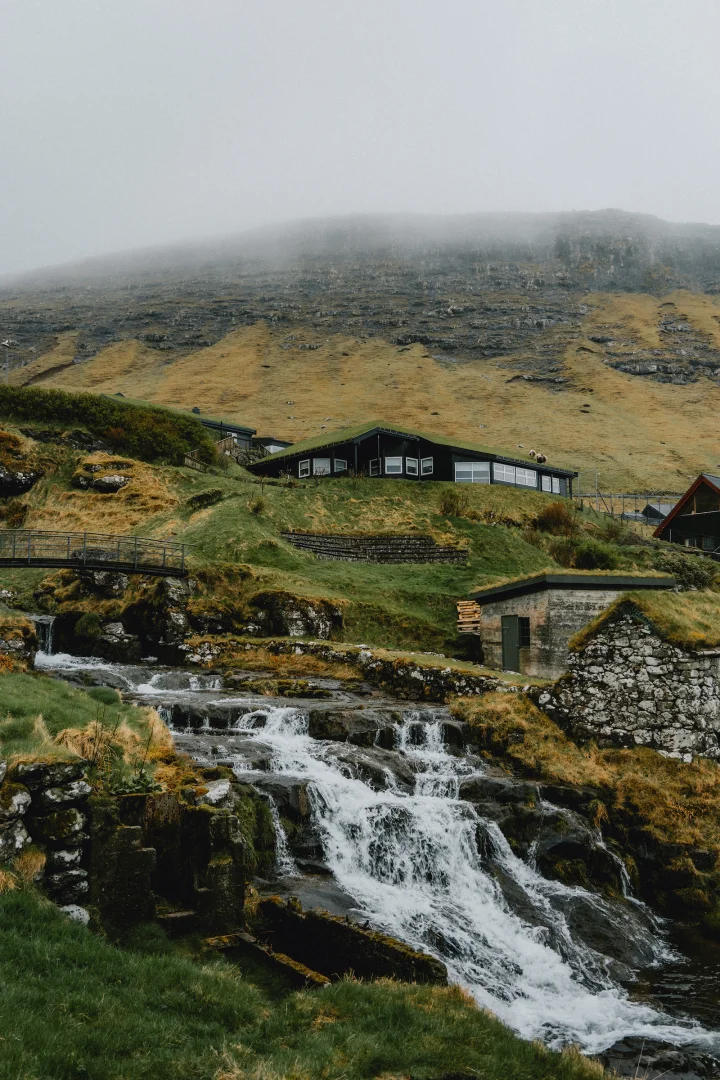 Thumbnail of - 