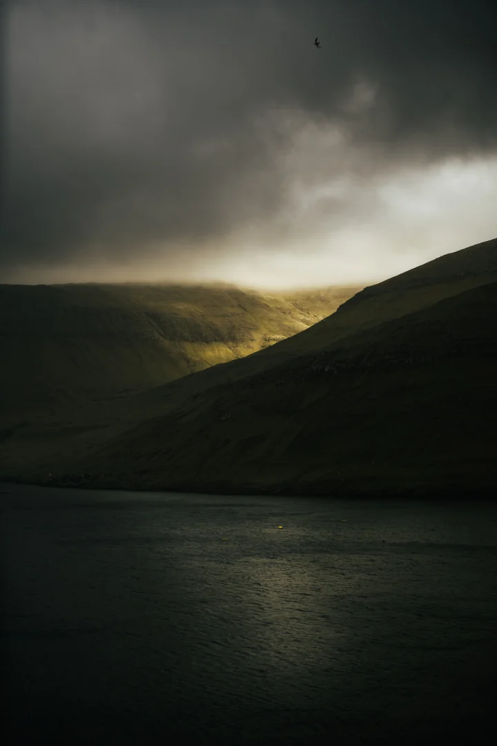 Thumbnail of - 