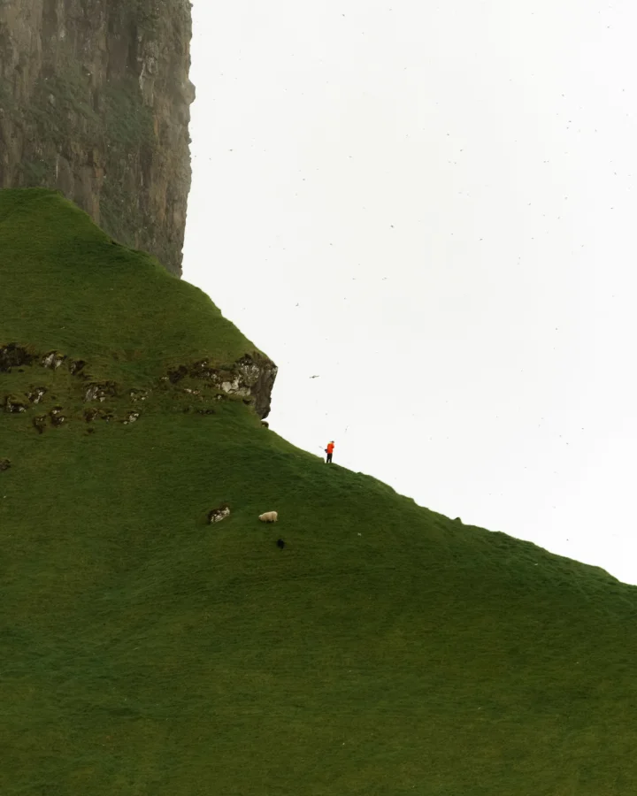 Thumbnail of - 