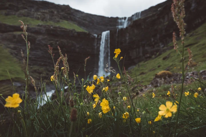 Thumbnail of -  waterfall, Fossá, is beautiful