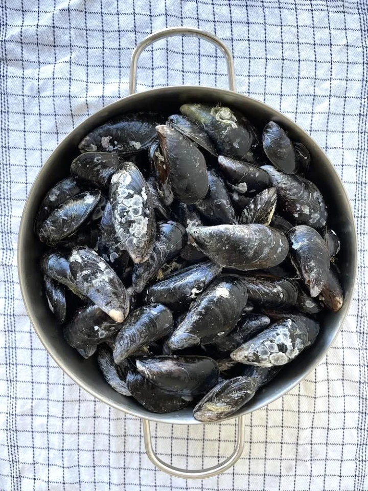 From sea to table at Heimablídni with Sunniva and Hávarður
