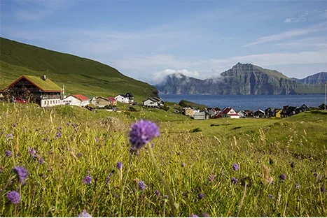 Camping by Gjógv in the Faroe Islands with tents, camper vans, mountains and ocean views.