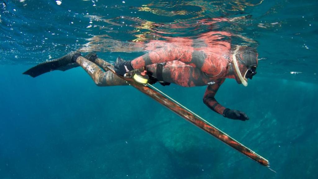 Spearfishing in the Faroe Islands