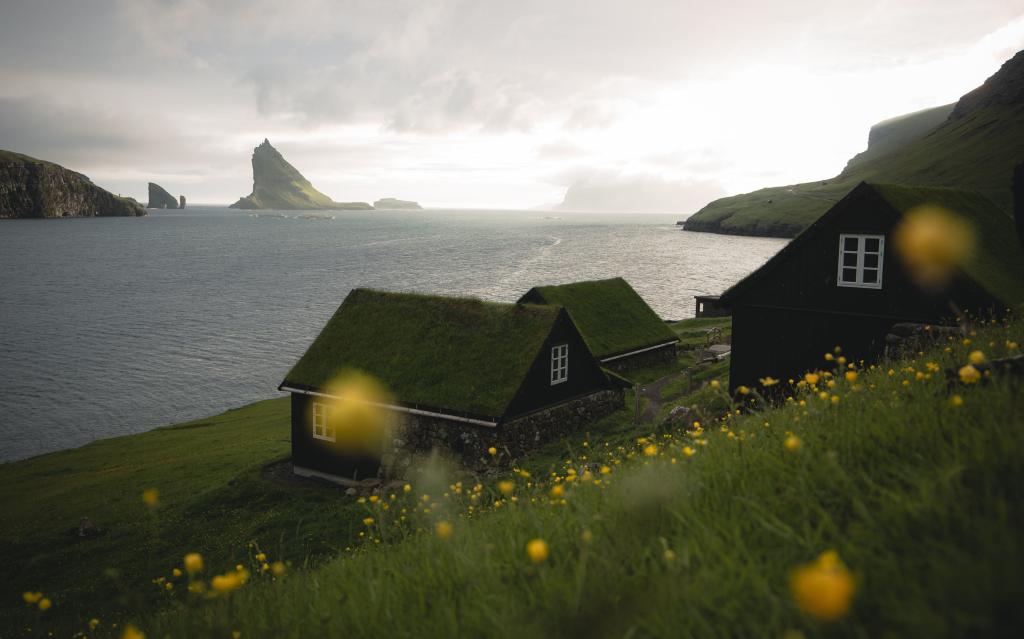 Turf houses in the village Bø, located in the Faroe Islands. Green grass with yellow dandelions. The stunning scenery of mountains and sea cliffs. 
