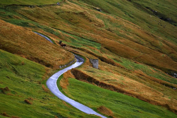 Thumbnail of - 