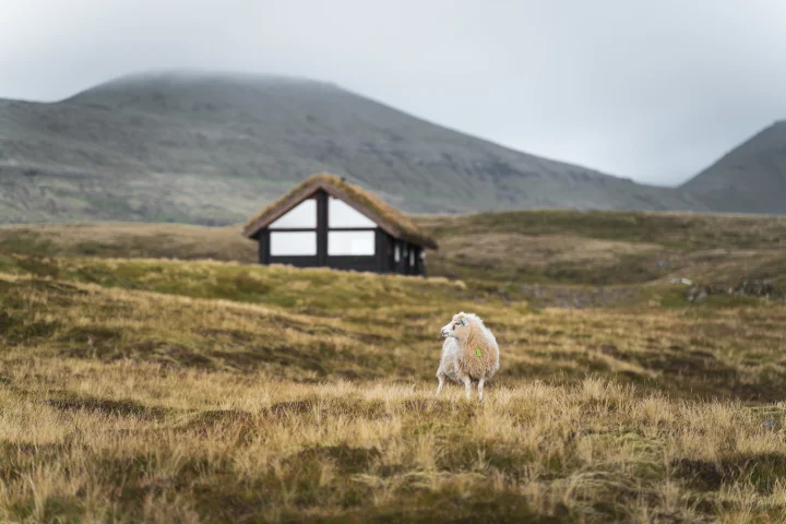 Thumbnail of - Cabin in nature, Faroe Islands. By Paul & Sybille Bréchu / @paulbrechu